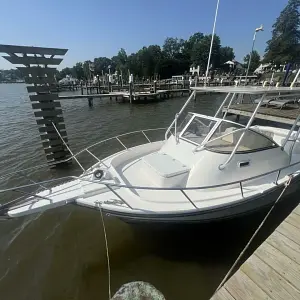 2005 Shamrock Boats 220 Predator