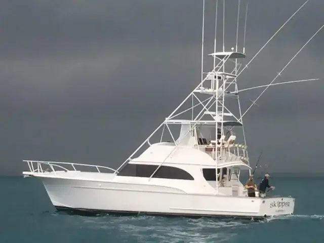 Sunny Briggs Flybridge Sportfish