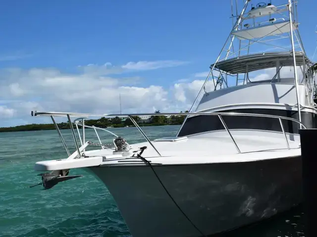 Sunny Briggs Flybridge Sportfish