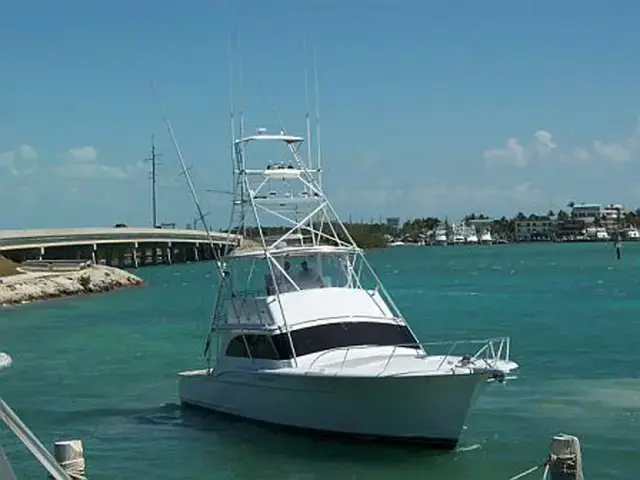 Sunny Briggs Flybridge Sportfish