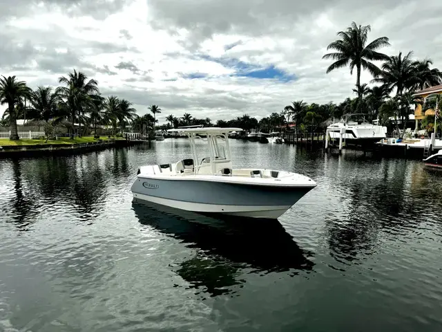 Robalo R 230