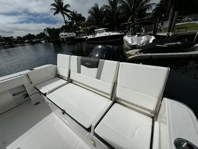 Robalo R 230