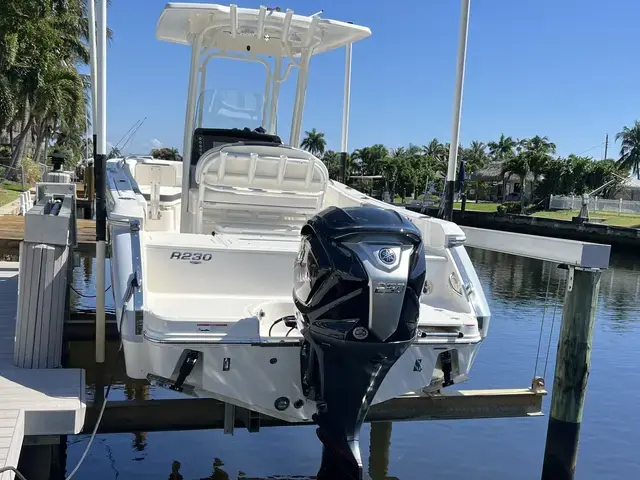 Robalo R 230