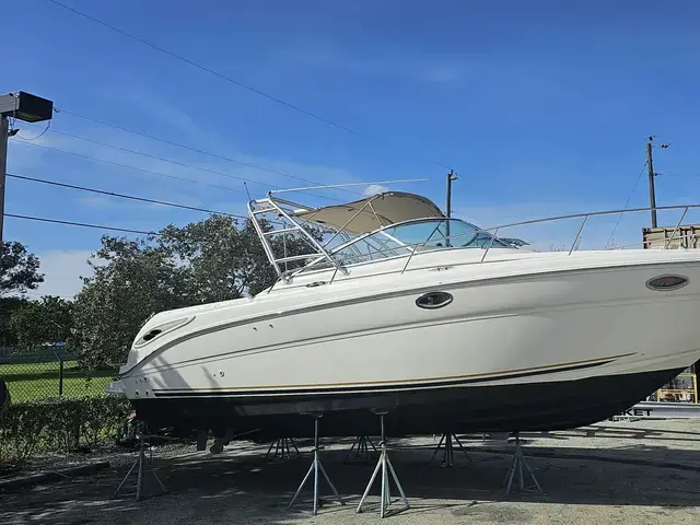 Sea Ray 290 Amberjack