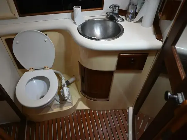 Pearson Pilothouse 365