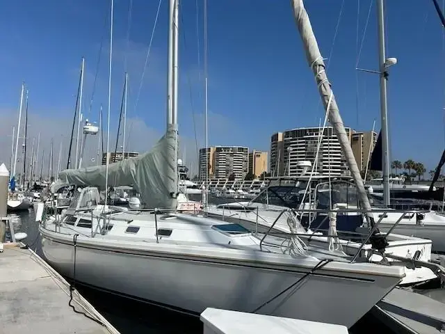 Catalina 42'