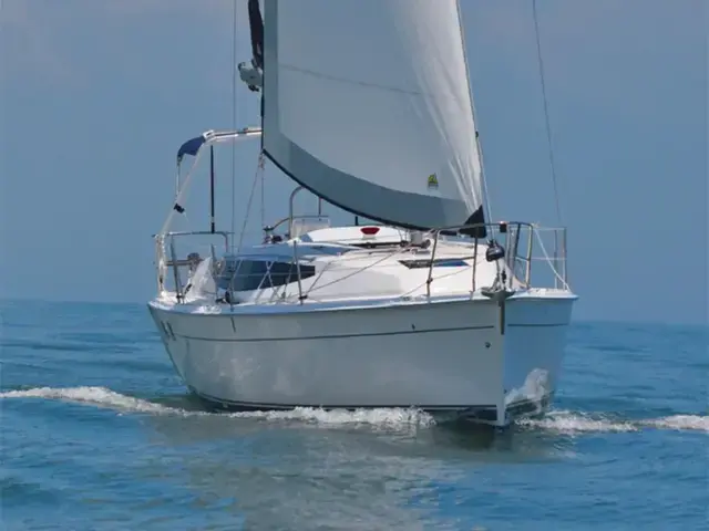 Hunter 33'