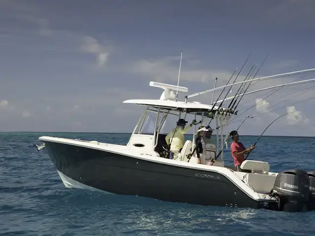 Cobia 301 Cc