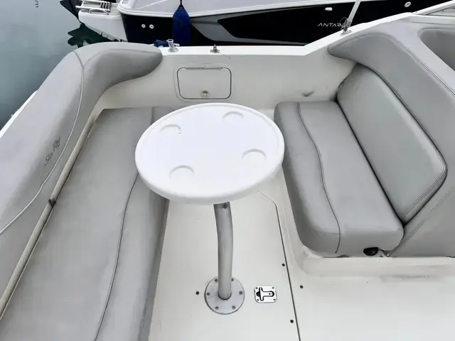 Sea Ray 260 Sundancer