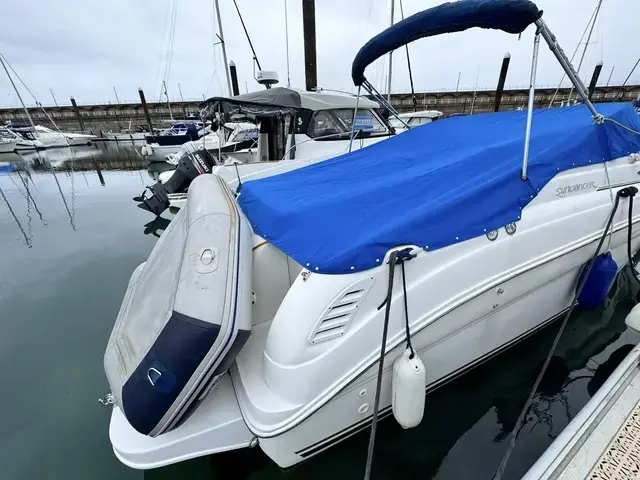 Sea Ray 260 Sundancer