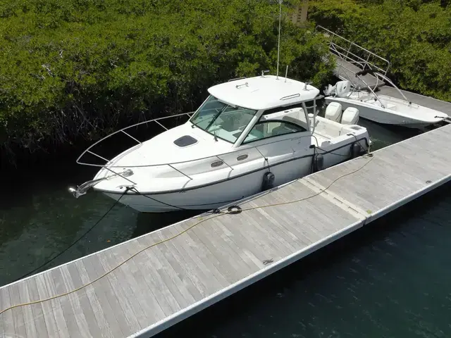 Boston Whaler 315 Conquest