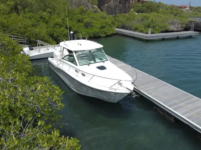 Boston Whaler 315 Conquest