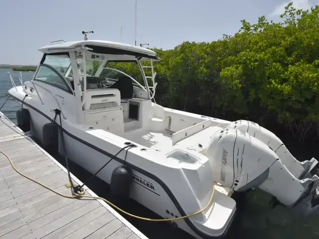 Boston Whaler 315 Conquest