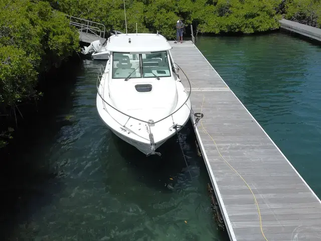 Boston Whaler 315 Conquest