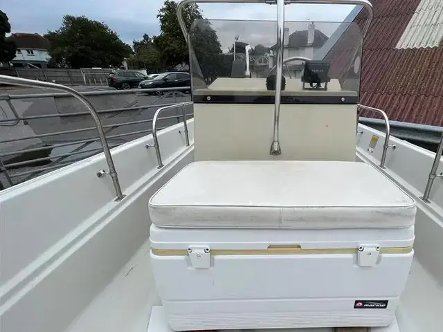 Boston Whaler 17 Montauk