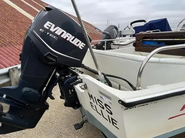 Boston Whaler 17 Montauk