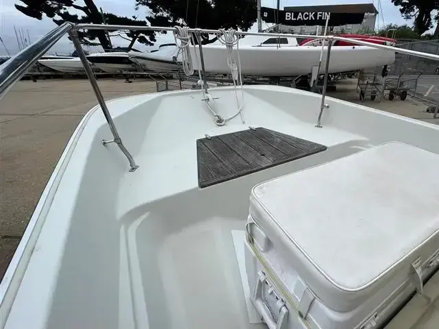 Boston Whaler 17 Montauk