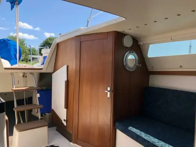 Catalina 250