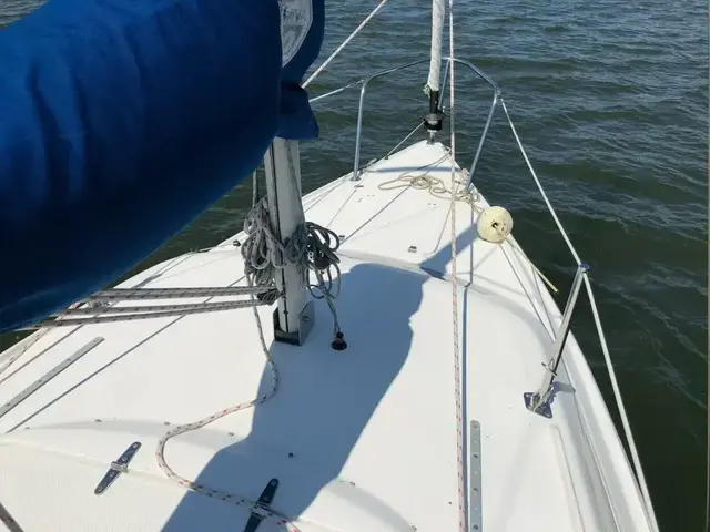 Catalina 250