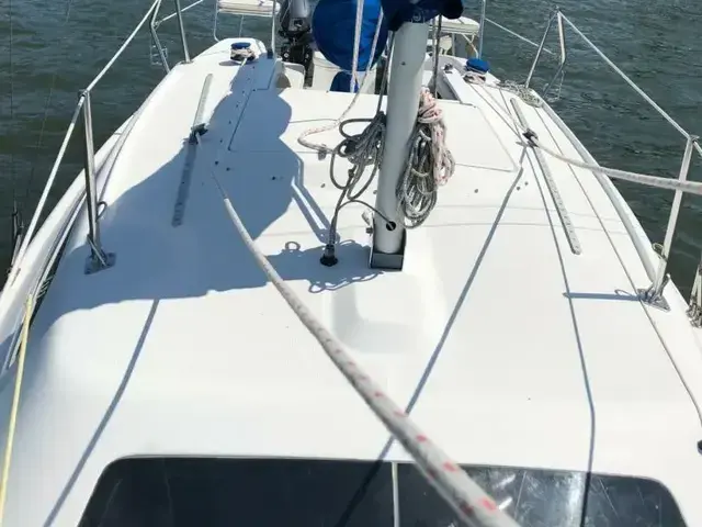 Catalina 250