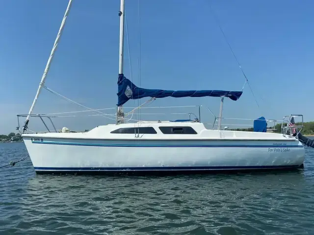 Catalina 250