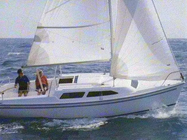 Catalina 250