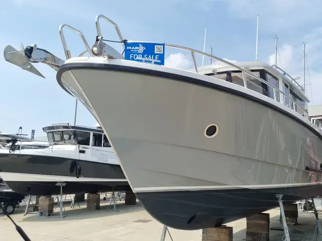 Sargo 36