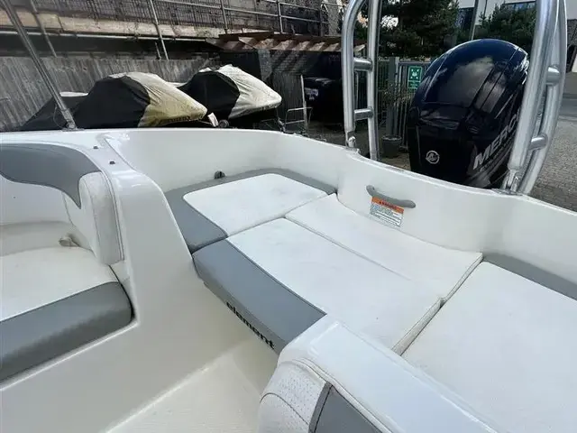 Bayliner Element E5