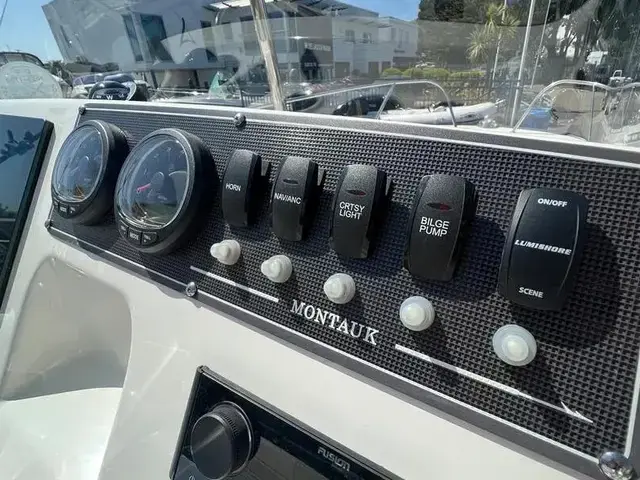 Boston Whaler 190 Montauk