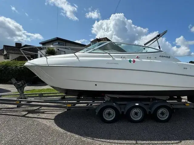 Sessa Islamorada 23