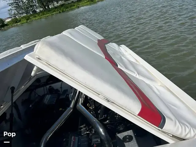 Pantera Boats 47