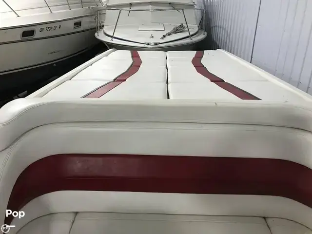 Pantera Boats 47