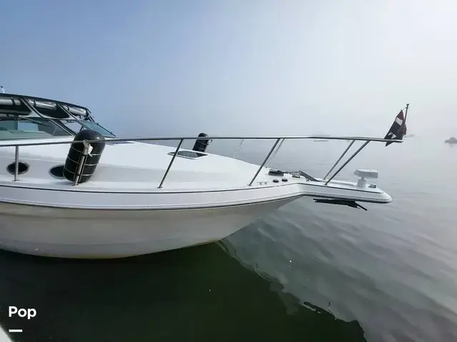 Wellcraft 3600 Martinique