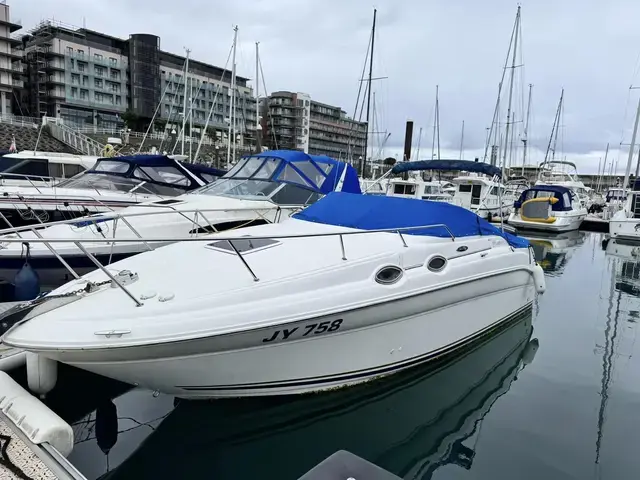 Sea Ray 260 Sundancer