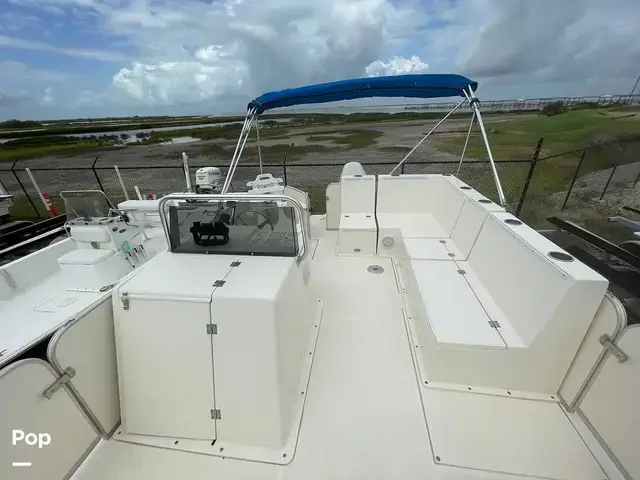 Beachcat 20