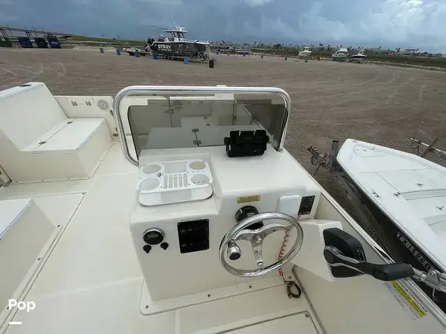 Beachcat 20