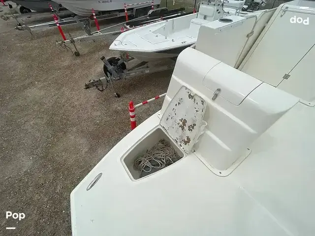 Beachcat 20