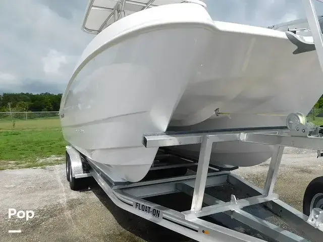 Twin Vee 260 Stx