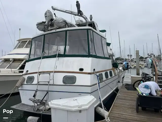 Trader 43 Double Cabin