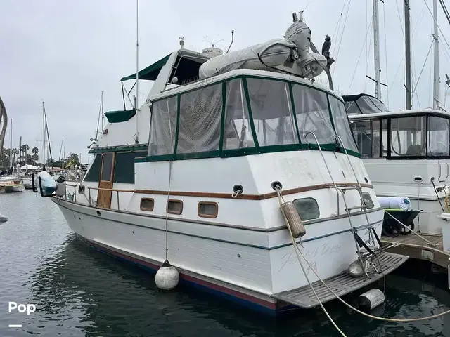 Trader 43 Double Cabin