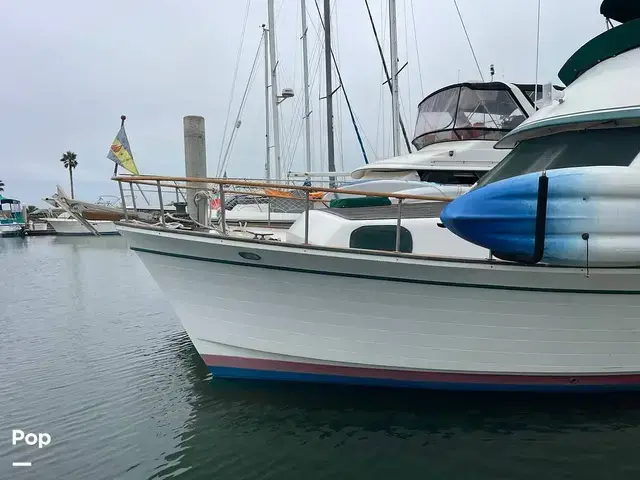 Trader 43 Double Cabin