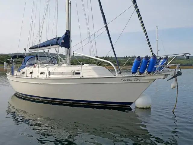 Island Packet 380