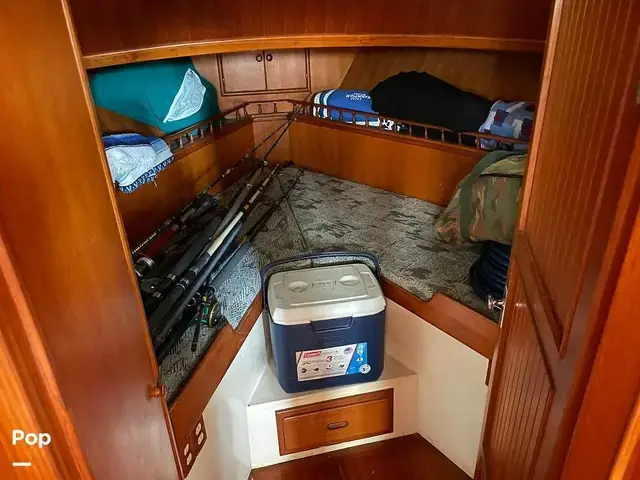 Trader 43 Double Cabin