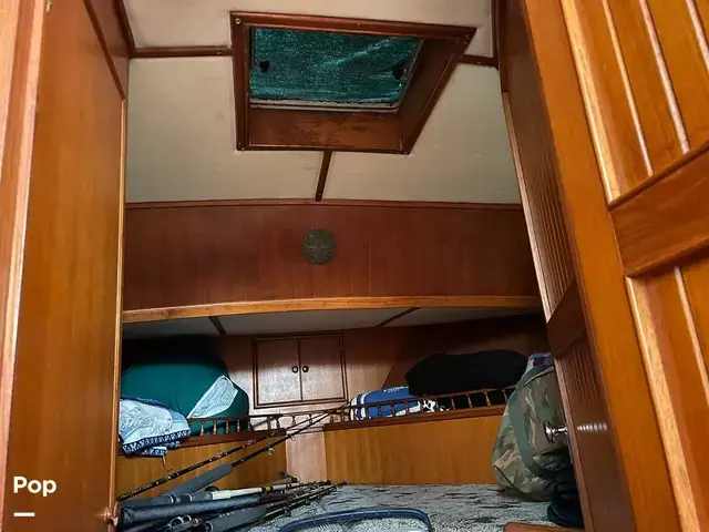 Trader 43 Double Cabin