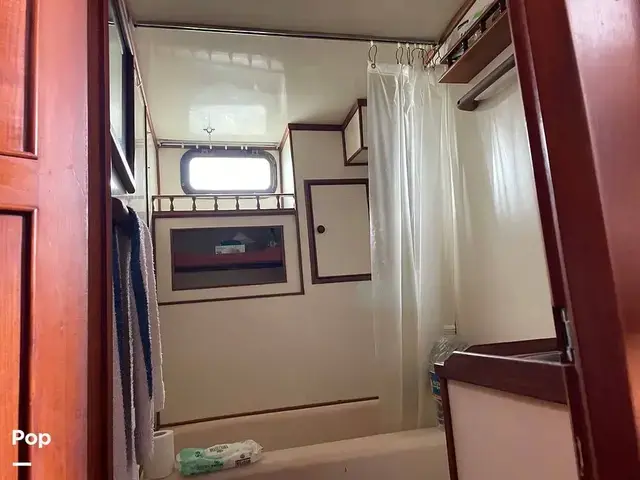 Trader 43 Double Cabin