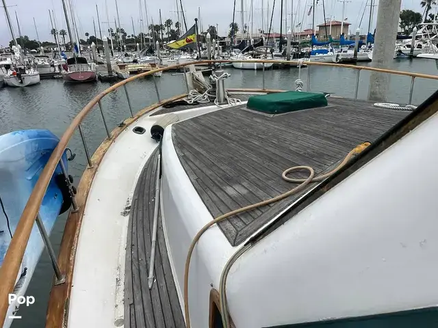 Trader 43 Double Cabin