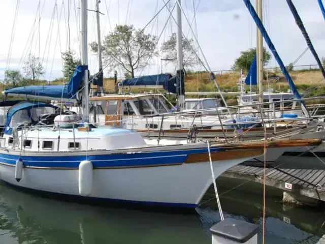 Bayfield 32c