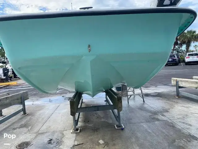 Cape Craft 19v