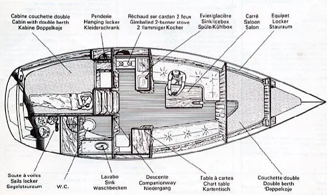 Cobra First 29