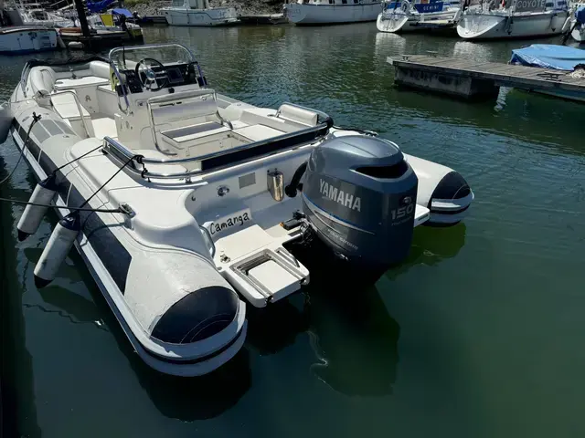 Bsc Rib Tender 66